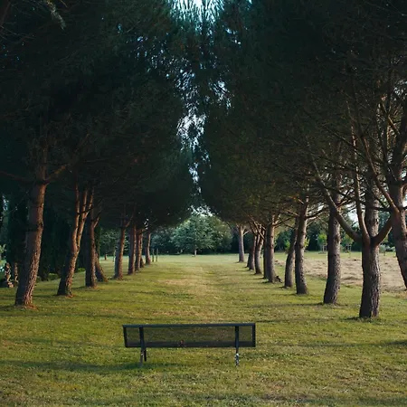 Bed & Breakfast Domaine De Labarthe Espere