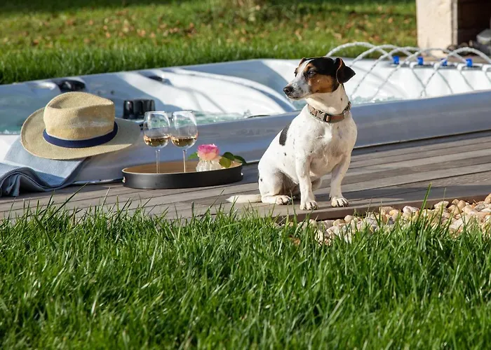 Domaine De Labarthe 4*