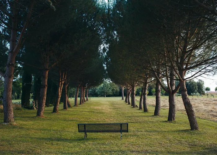 Bed & Breakfast Domaine De Labarthe Espere