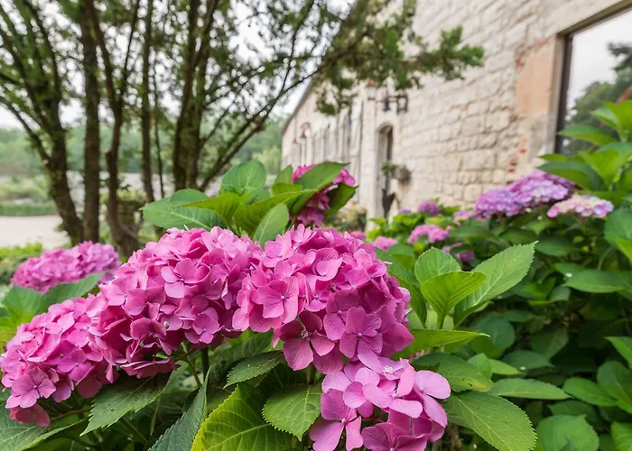 Domaine De Labarthe 4* Espere