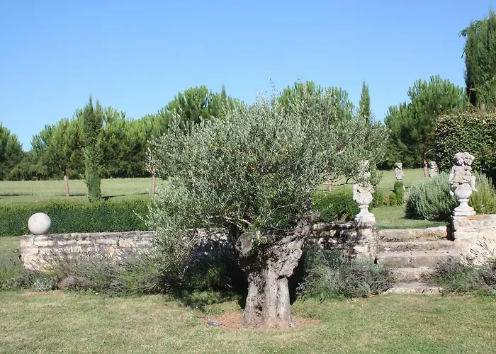 Domaine De Labarthe 4* Espere