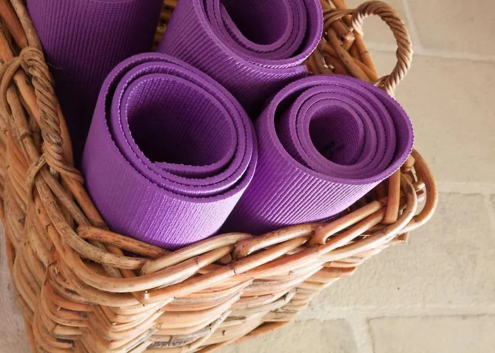 Domaine De Labarthe 4* Espere