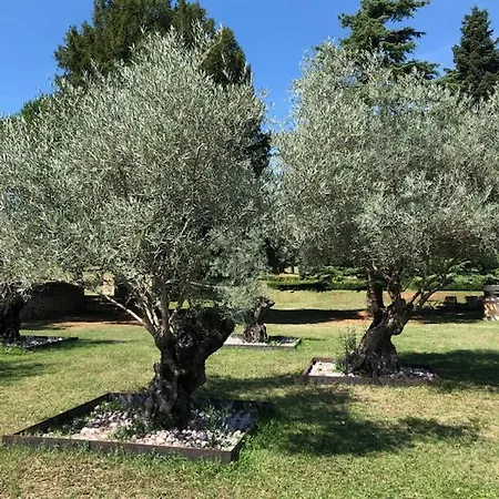 Domaine De Labarthe 4*