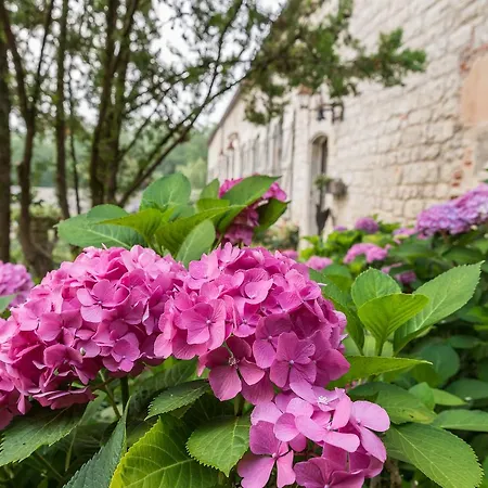 Domaine De Labarthe 4* Espere