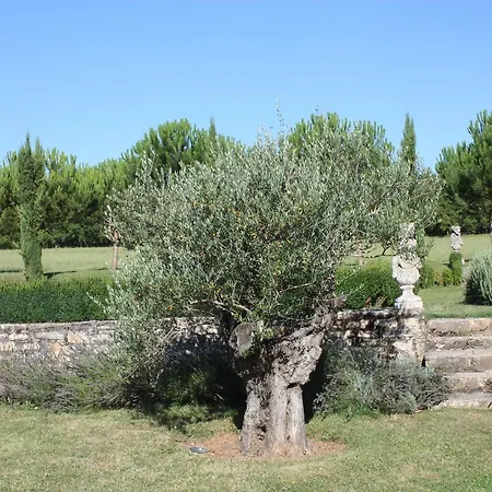 Domaine De Labarthe 4* Espere